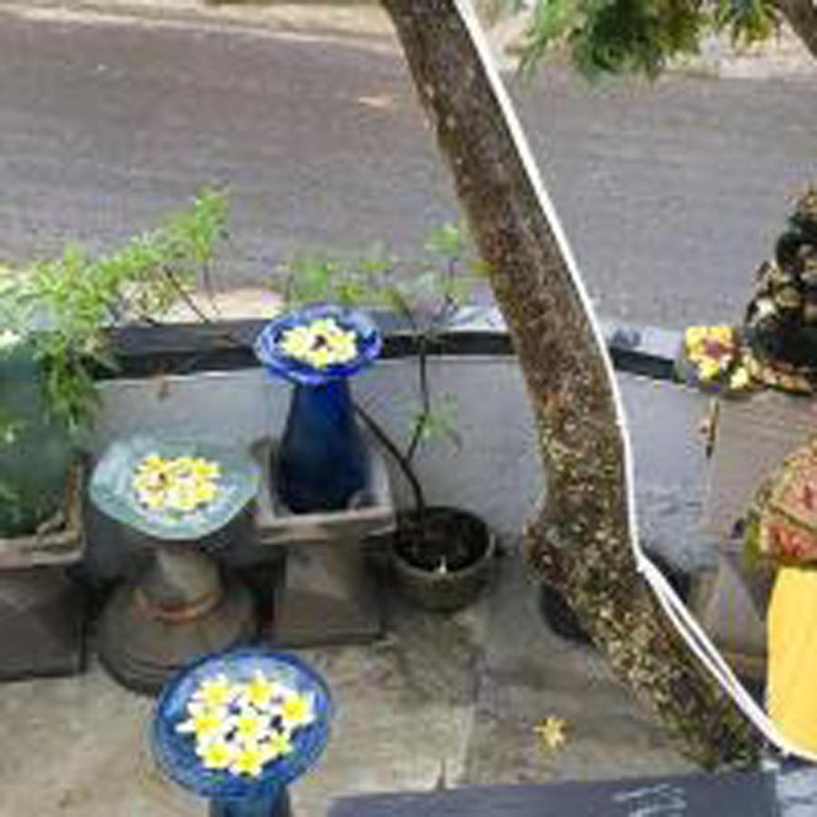 Bulan Bali Guest House Ubud Exteriör bild